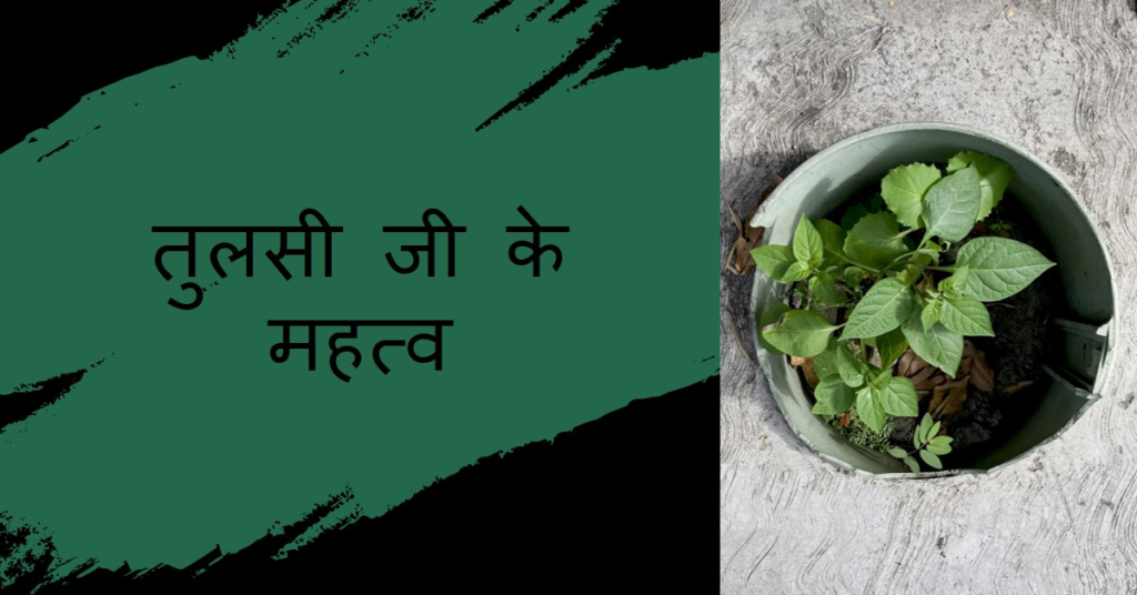 तुलसी-जी-के-विषय-मे-महत्त्वपूर्ण-बातें1