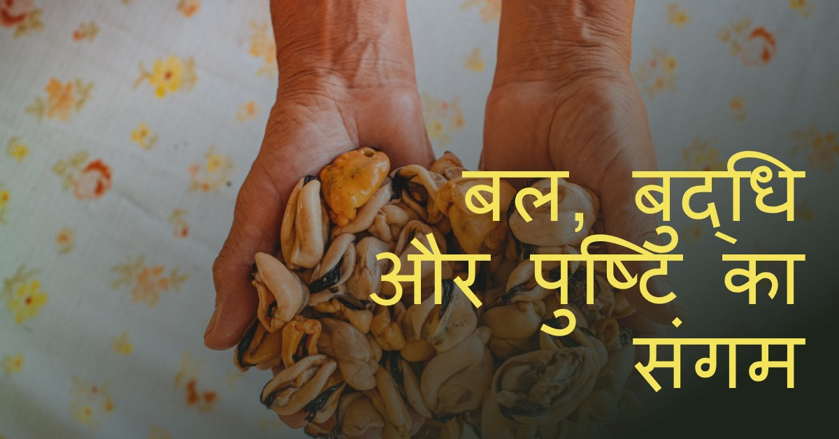 *🌹बल, बुद्धि व पुष्टि दायक कद्दू के बीज*