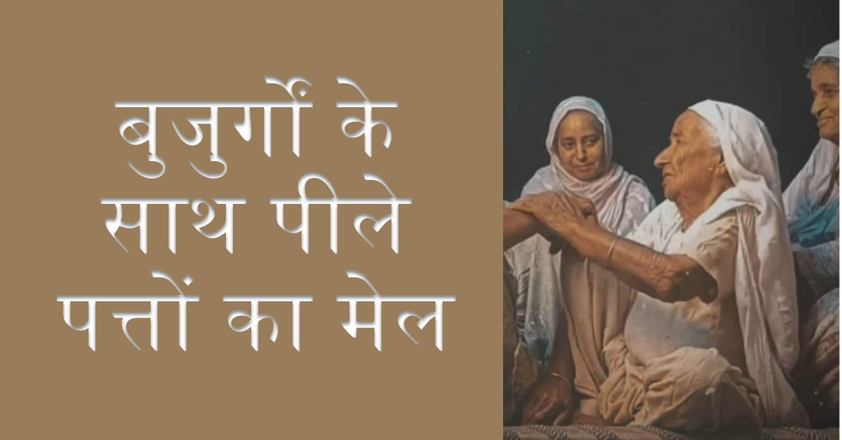 पीले पत्ते और हमारे बुजुर्ग🍁