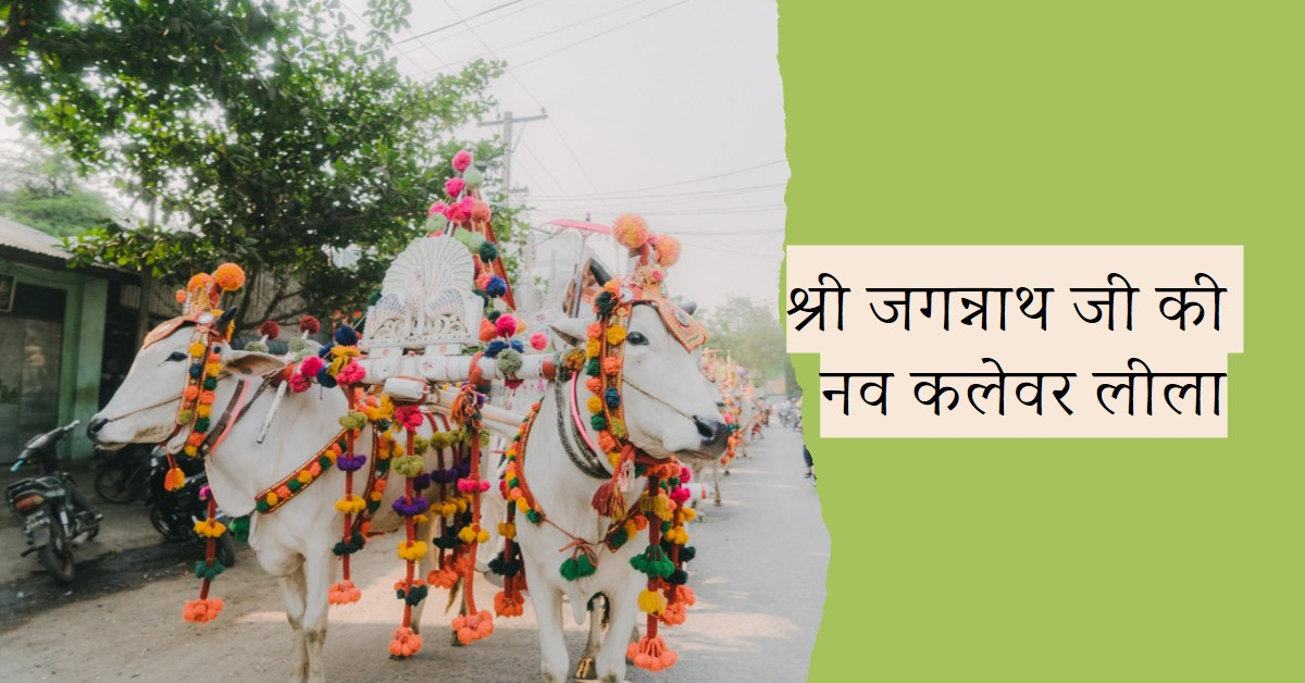 श्री जगन्नाथ जी की महत्वपूर्ण लीला नव कलेवर अनुष्ठान