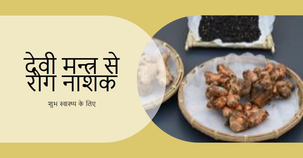 रोग नाशक देवी मन्त्र